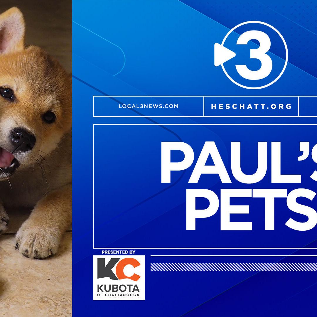 2022 Paul's pets